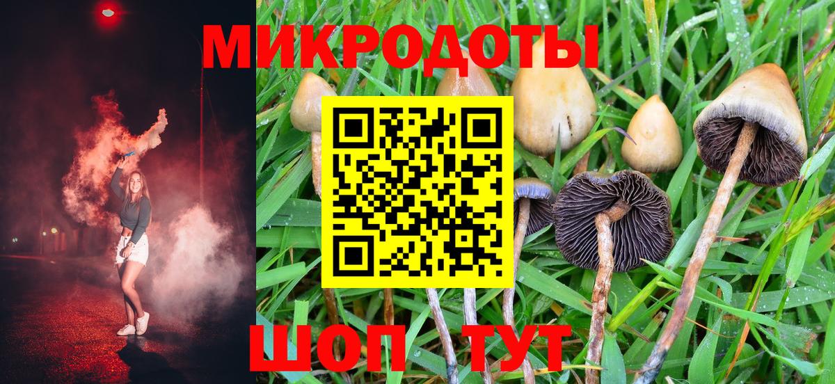 Псилоцибиновые грибы Cubensis Кубинка
